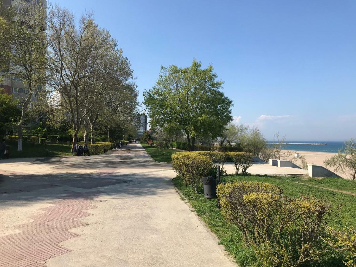 Black Sea House Apartment 콘스탄차 외부 사진