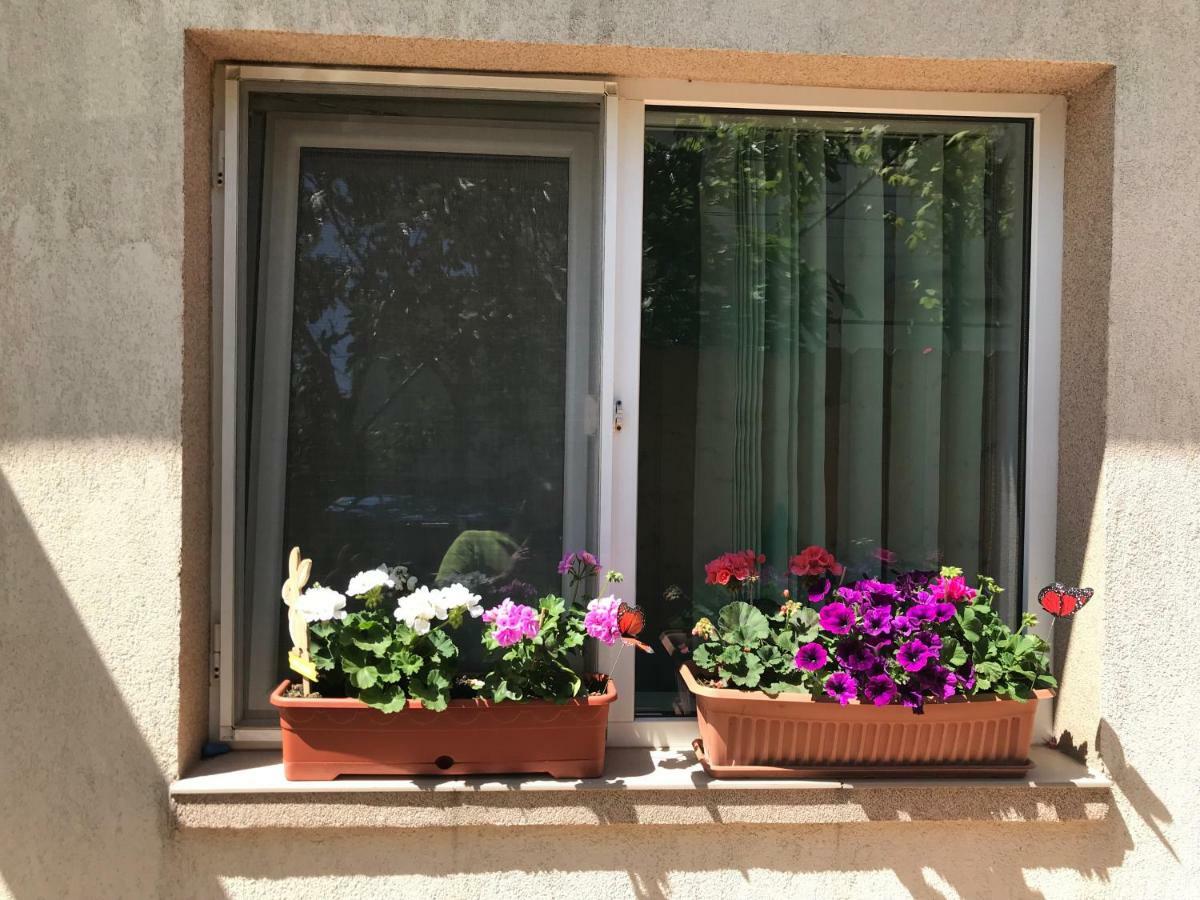 Black Sea House Apartment 콘스탄차 외부 사진