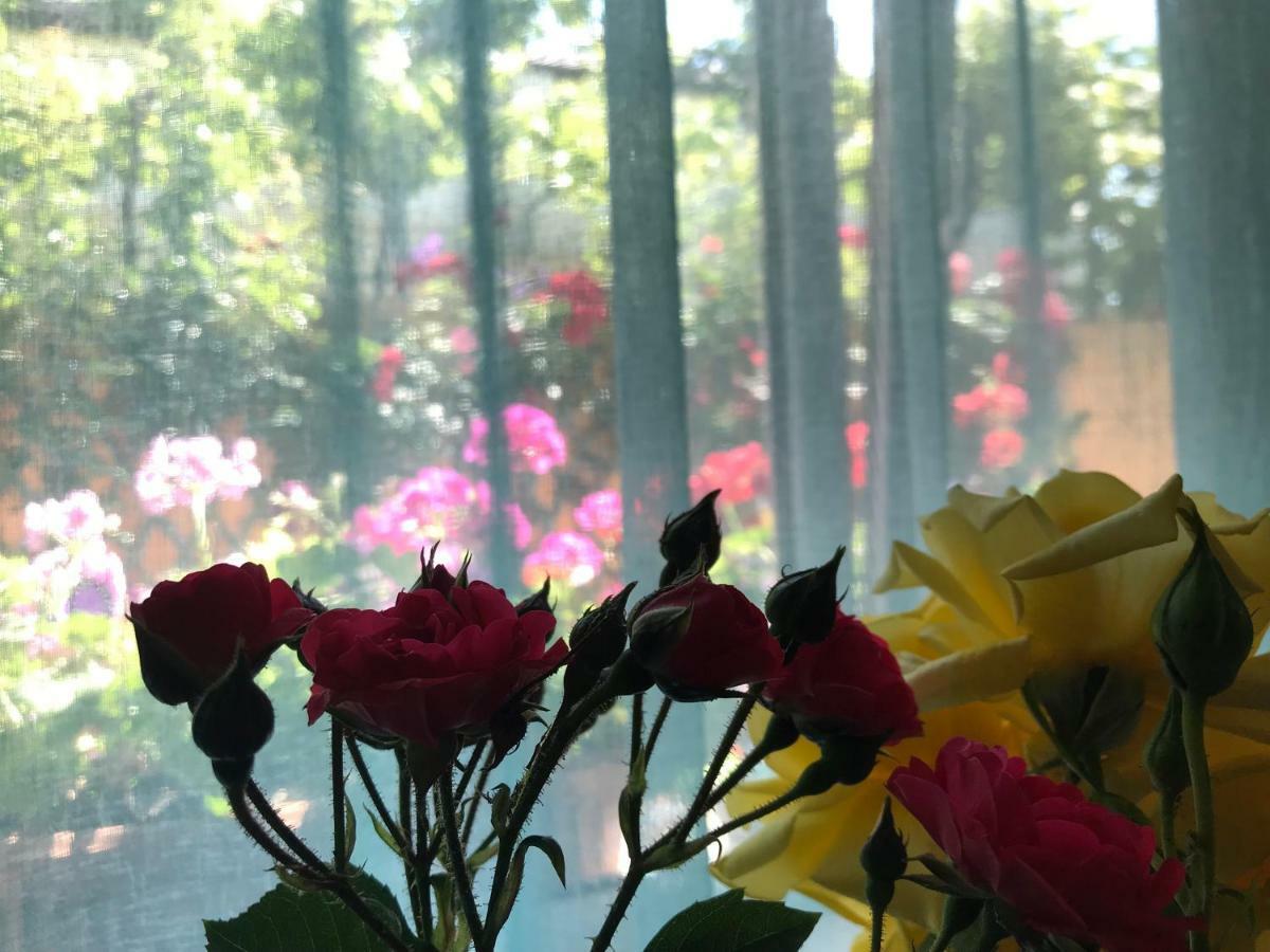 Black Sea House Apartment 콘스탄차 외부 사진